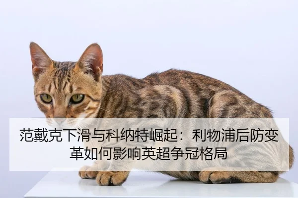 fan-dai-ke-xia-hua-yu-ke-na-te-jue-qi-li-wu-pu-hou-fang-bian-ge-ru-he-ying-xiang-ying-chao-zheng-guan-ge-ju-3-926.jpg